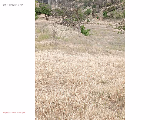 KEMER KAYI KÖYÜNDE YERLEŞİM YERİ İÇİNDE 7500 M2 SUYU MEVCUT - BURDUR KEMER fotoğraf 20
