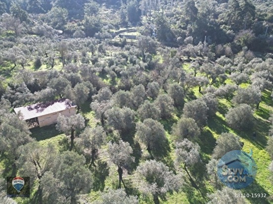 Kuşadası Kirazlıda fırsat bahçe - AYDIN KUŞADASI fotoğraf 5