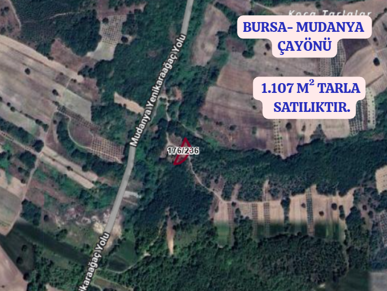 BURSA MUDANYA ÇAYÖNÜ KÖYÜNDE 1.107 M² TARLA SATILIKTIR. - BURSA MUDANYA fotoğraf 2