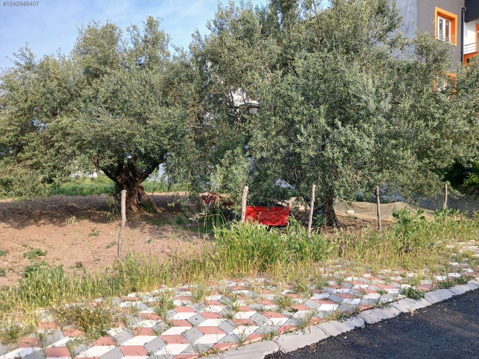 fiyat düşürüldü satılık arsa - MANİSA AKHİSAR fotoğraf 6