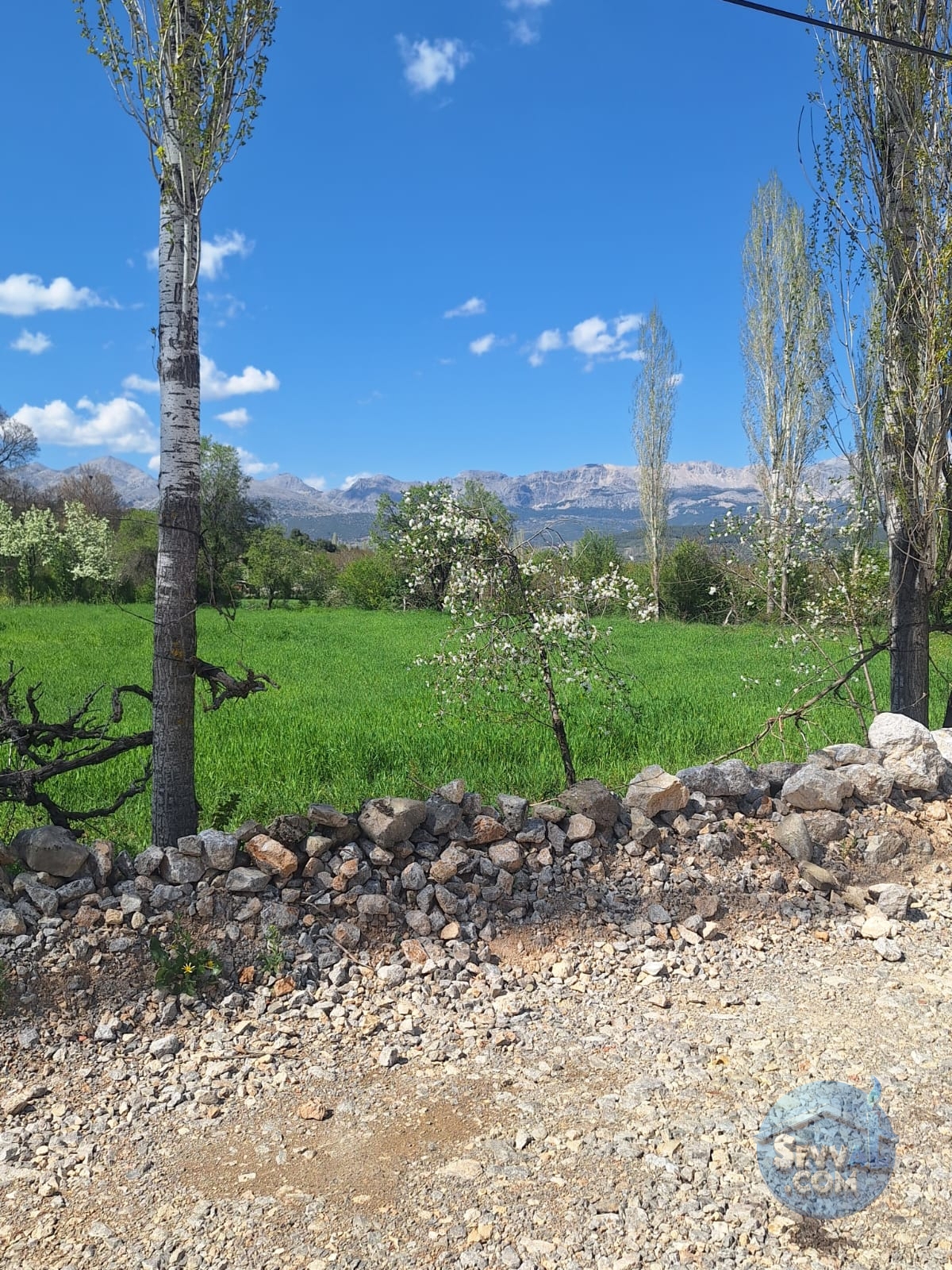 AĞLASUN KİBRİT KÖYÜNDE SATILIK FIRSAT ARAZİ - Burdur Ağlasun fotoğraf 33