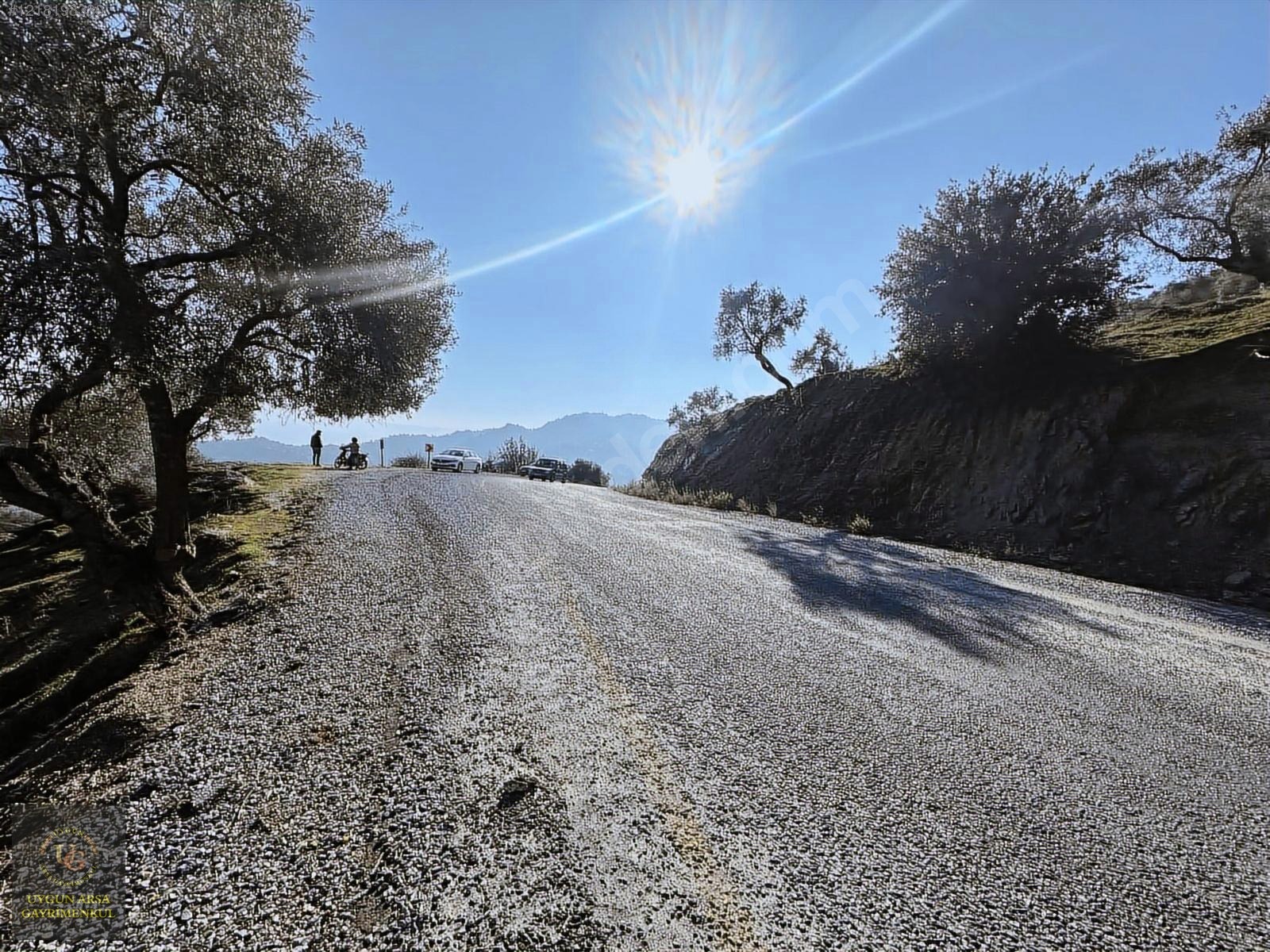 AYDIN KARPUZLU MERKEZ'DE 21.050 M2 ANA YOLA CEPHE ZEYTİNLİK - AYDIN KARPUZLU fotoğraf 11