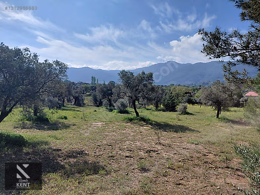 Kemalpaşa Dereköy'de Satılık 4850 m2 Bahçe - İZMİR KEMALPAŞA fotoğraf 17