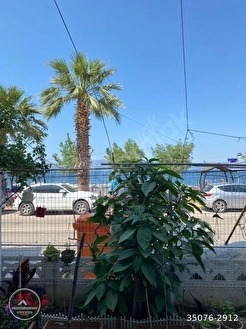 DENİZE SIFIR KONUMDA 2+1 YENİLENMİŞ SATILIK DAİRE KARDEŞ GAYRİMENKUL - KOCAELİ KARAMÜRSEL fotoğraf 36
