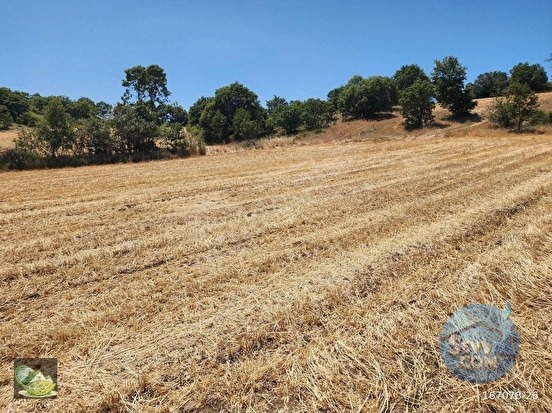 🚨 DURSUNBEY'DE 3.253 M² DOĞA MANZARALI HARİKA TARLA 🚨 - BALIKESİR DURSUNBEY fotoğraf 14