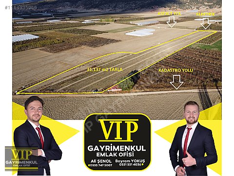 VİP GAYRİMENKUL'den IMIRCIK MAH. 7.601m² SERA - ANTALYA ELMALI fotoğraf 9