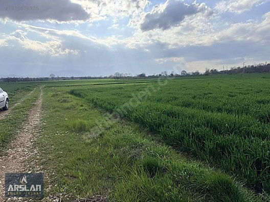 İNEGÖL SÜPÜRTÜ MAHALLESI'NDE YOLA CEPHE 2313 M SATILIK TARLA - BURSA İNEGÖL fotoğraf 6