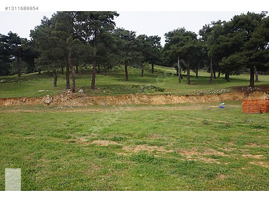ÇANAKKALE BAYRAMİÇ DALOBA KÖYÜ 4781 m2 TARLA - ÇANAKKALE BAYRAMİÇ fotoğraf 49