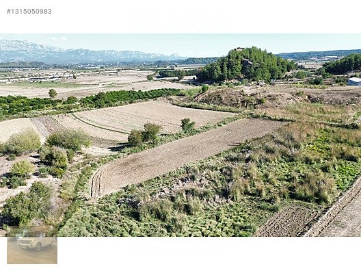 3.199 m² SATILIK SULAK TARLA - ANTALYA AKSU fotoğraf 5