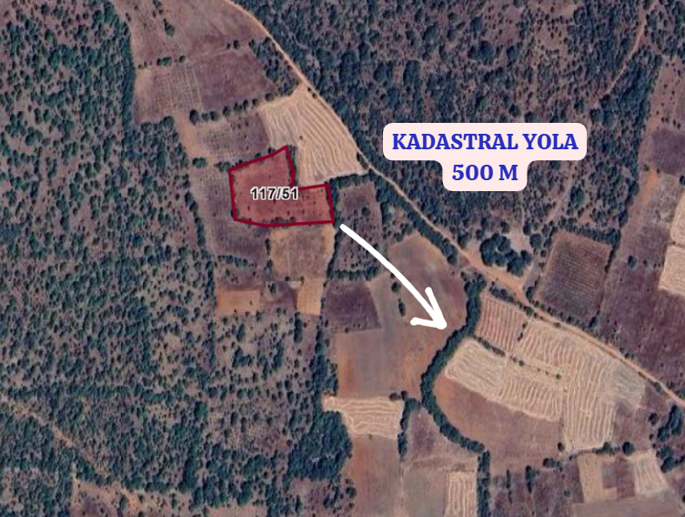 UŞAK KARAHALLI PAŞALAR  KÖYÜNDE 3.954  M²  BAĞ  SATILIKTIR  - UŞAK KARAHALLI fotoğraf 3