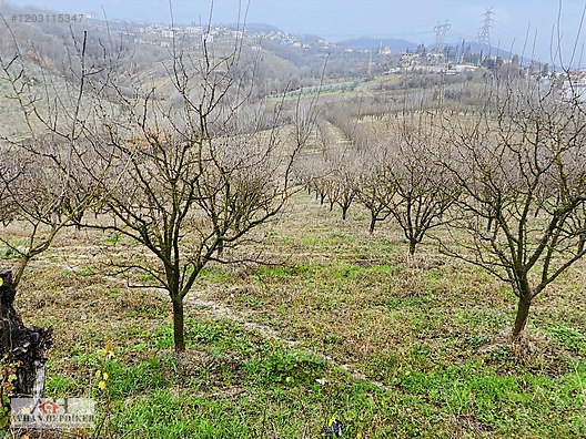 Serdivan Esentepe'de Satılık Arsalar - Yatırım Fırsatı! - SAKARYA SERDİVAN fotoğraf 28