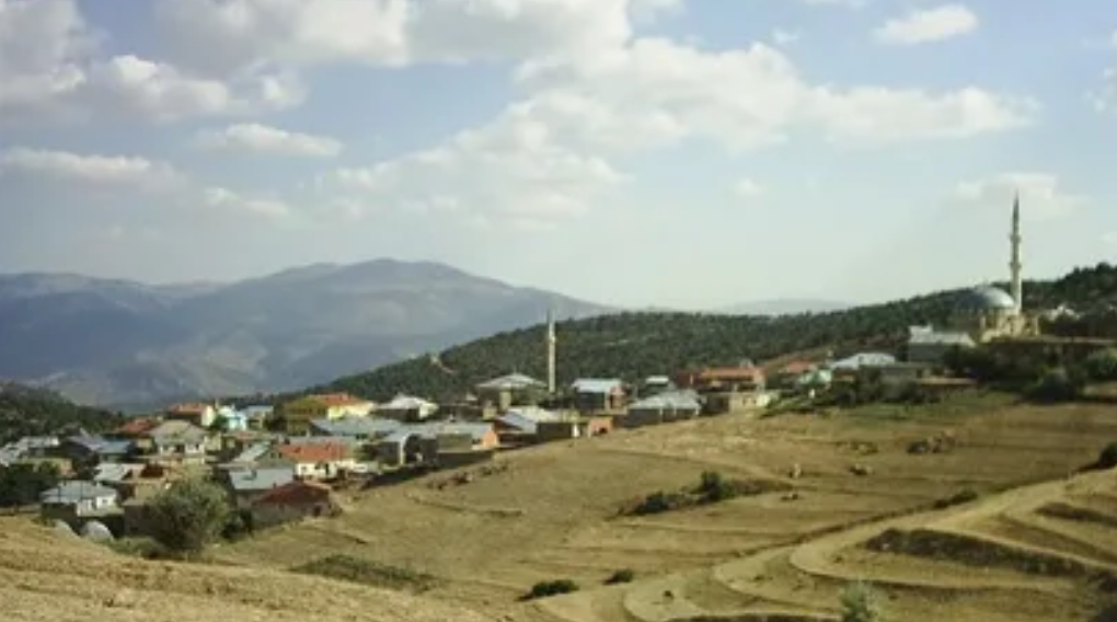 KONYA BOZKIR HAMZALAR KÖYÜNDE 1.347 M² BAĞIMIZ SATILIKTIR. - KONYA BOZKIR fotoğraf 10