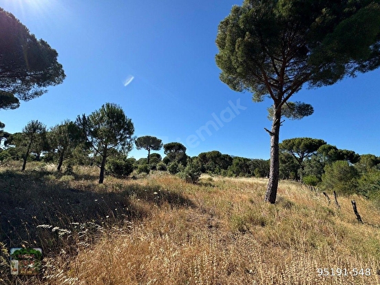 BERGAMA KOZAK YAYLASI YUKARIBEY MAH DE 13300 m2 FISTIKLIK - İZMİR BERGAMA fotoğraf 2