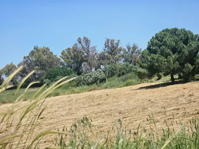 Didim Akyeniköy Balova Mevkiinde Yatırımlık Arsa - AYDIN DİDİM fotoğraf 12