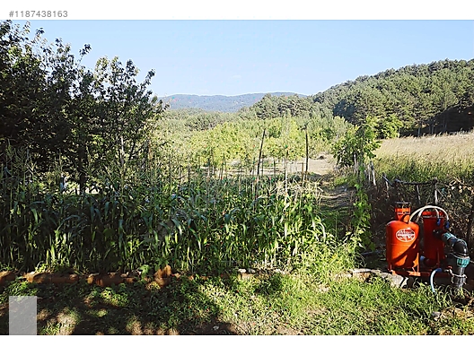 ÇANAKKALE BAYRAMİÇ BEŞİK KÖYÜ 6.900 m2 MEYVA BAHÇESİ 96 m2 EV - ÇANAKKALE BAYRAMİÇ fotoğraf 30