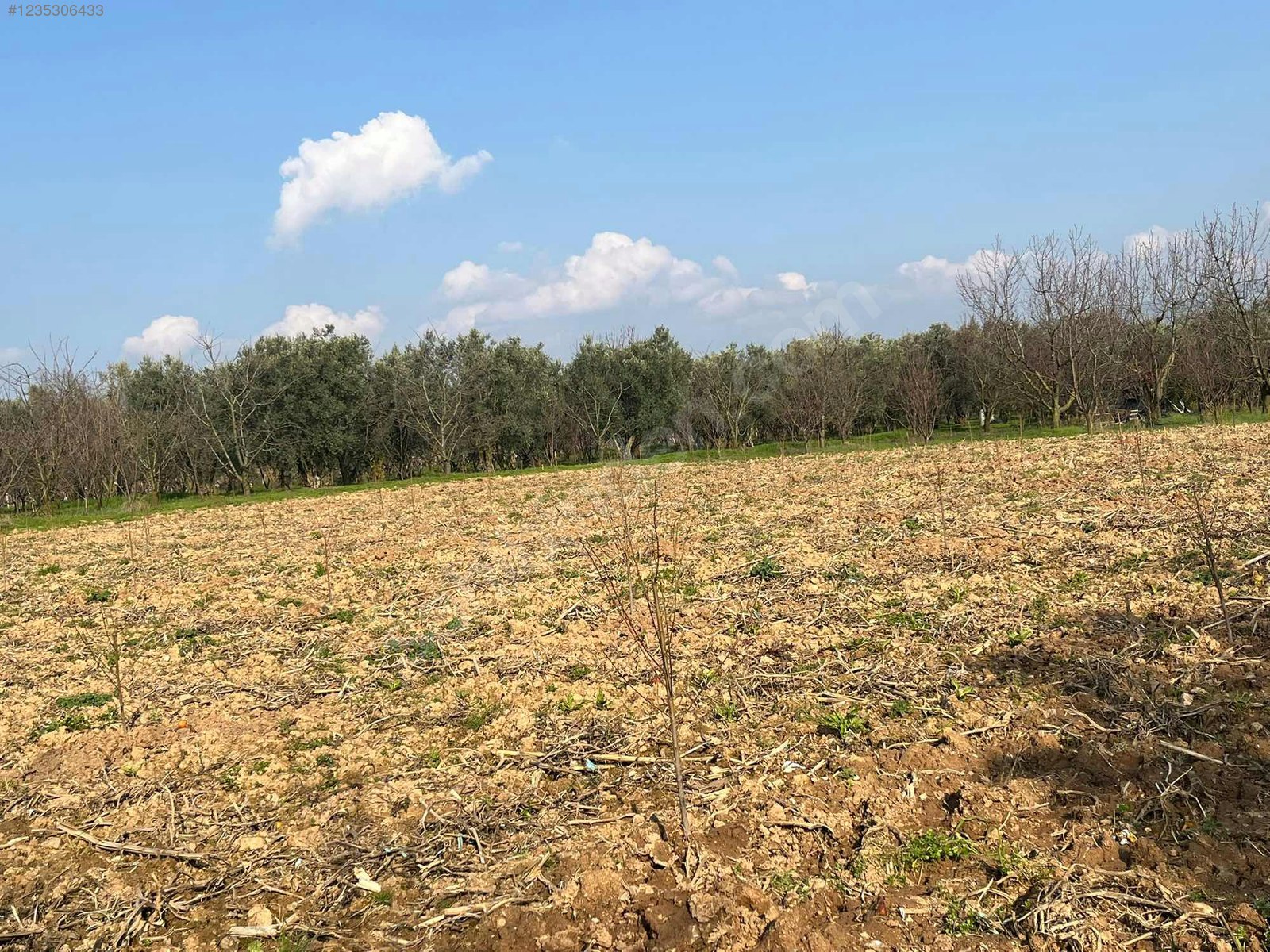 BURSA İZNİK ÖMERLİ MAHALLESİ'NDE  9.656 M² TARLAMIZ SATILIKTIR - BURSA İZNİK fotoğraf 21
