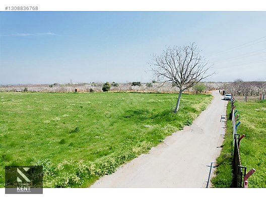 Kemalpaşa Ören 75. Yıl Satılık 8770 m2 Tek Tapu Tarla - İZMİR KEMALPAŞA fotoğraf 42