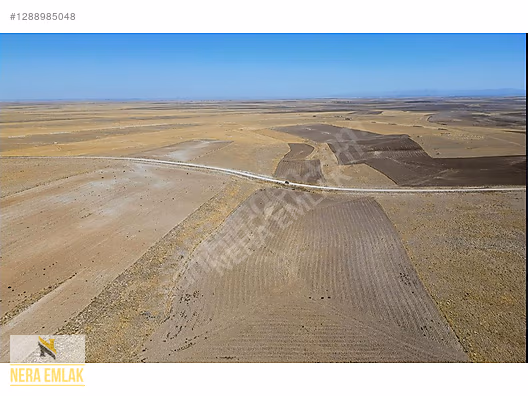DEPOLAMAYERİ-HAYVANCILIK-ÇİFTLİK KURULUMUNA UYGNTEKTAPU 18.400m2 - KONYA CİHANBEYLİ fotoğraf 12