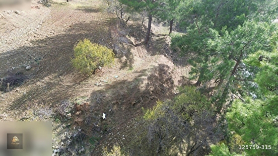 ANAMUR ÇATALOLUK SATILIK 5800 M2 TARLA - MERSİN ANAMUR fotoğraf 5
