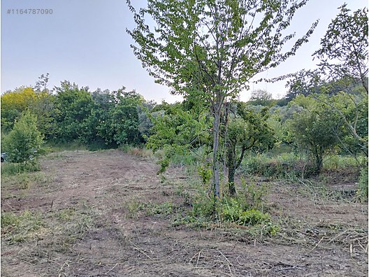 BURSA KESTEL AKSU KÖYÜNDE 2.059 M² TARLA SATILIKTIR - BURSA KESTEL fotoğraf 5