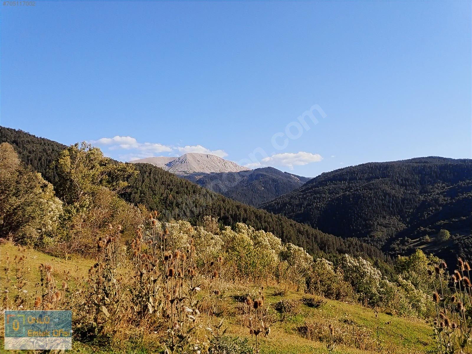 ÜNLÜ EMLAKTAN ILGAZ MANZARALI ORMAN İÇİNDE 50 DÖNÜM CAZİP ARAZİ - KASTAMONU MERKEZ fotoğraf 8