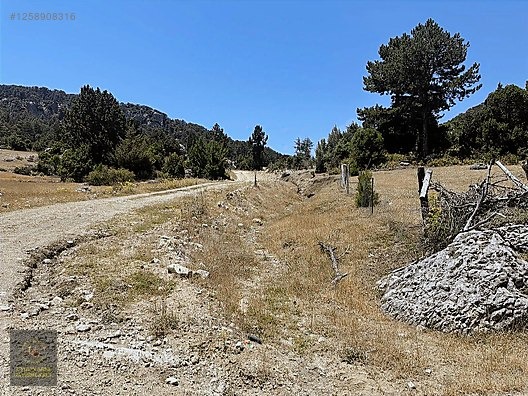 ANTALYA KAŞ YAYLAPALAMUT' DA 3.888 M2 UYGUN ARSA - ANTALYA KAŞ fotoğraf 3