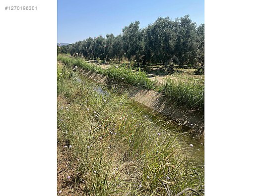 BURSA İZNİK ÖMERLİ  KÖYÜNDE 54 M² BAĞ  SATILIKTIR - BURSA İZNİK fotoğraf 9