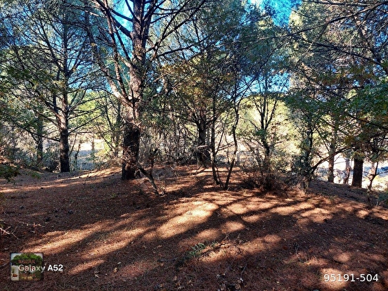 KOZAK YAYLASINDA KARAVELİLER MAH DE 5950 m2 EV İMARLI FISTIKLIK - İZMİR BERGAMA fotoğraf 4