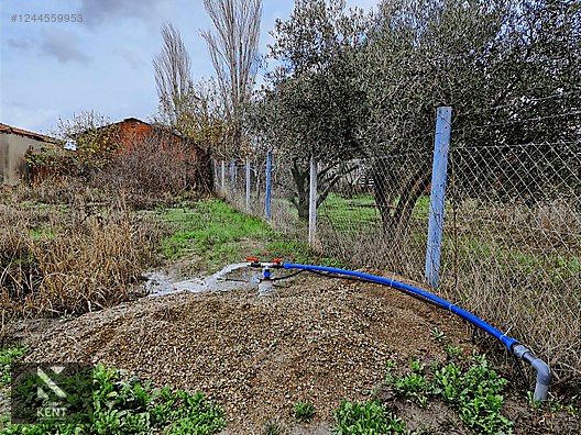 Kemalpaşa Armutlu Satılık 1120 m2 Bahçe - İZMİR KEMALPAŞA fotoğraf 22