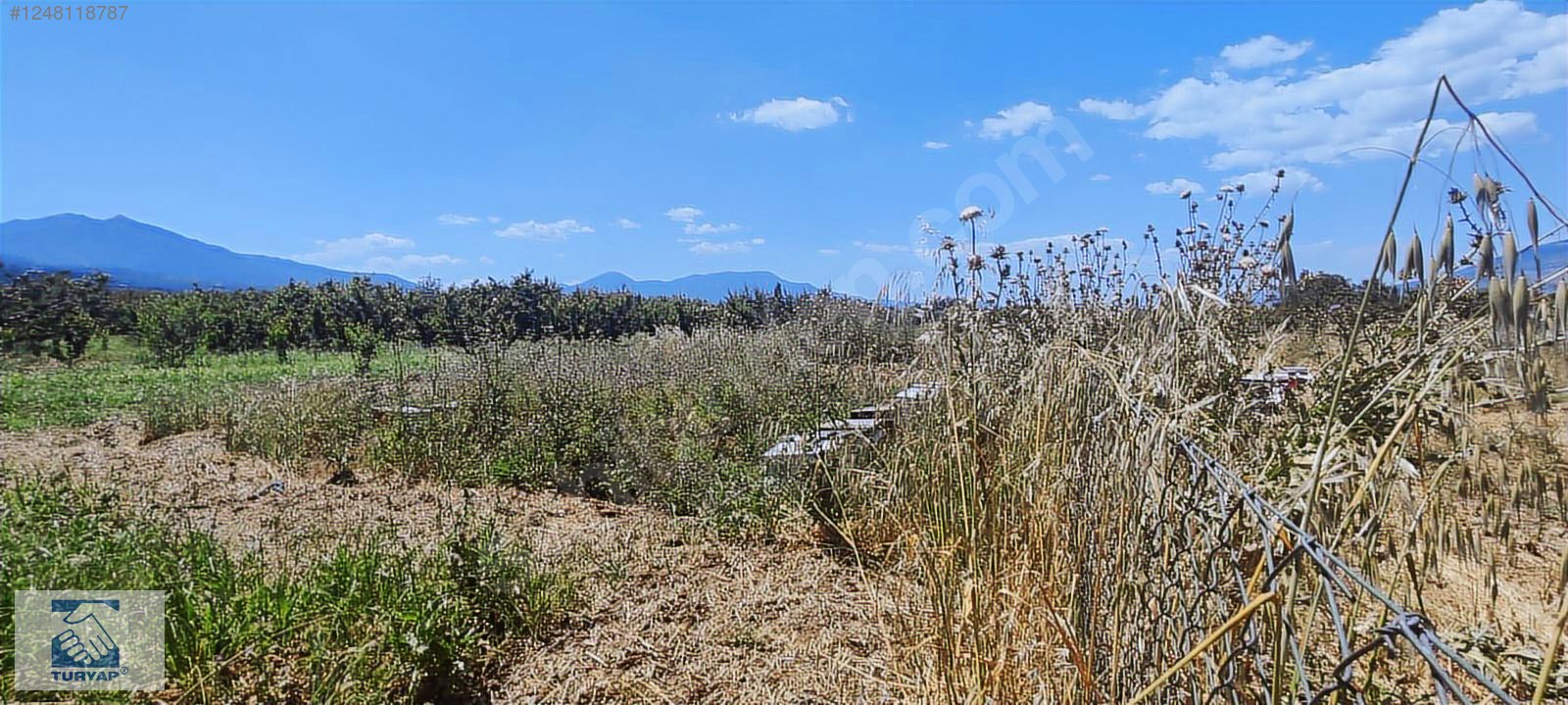 Kemalpaşa Örende 1234 M2 Satılık Müstakil Bahçe - İZMİR KEMALPAŞA fotoğraf 13