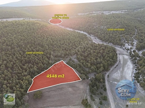 🚨 KÜTAHYA / AKÇAMESCİT'TE KÖYÜN ÜSTÜNDE 4.548 M² HARİKA ARAZİ 🚨 - KÜTAHYA MERKEZ fotoğraf 5