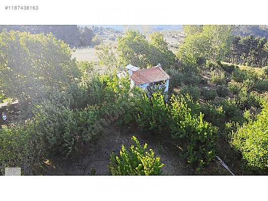 ÇANAKKALE BAYRAMİÇ BEŞİK KÖYÜ 6.900 m2 MEYVA BAHÇESİ 96 m2 EV - ÇANAKKALE BAYRAMİÇ fotoğraf 9