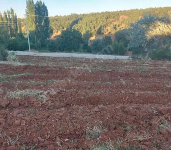  KONYA BEYŞEHİR GÖKÇEKUYU  KÖYÜNDEİ  1.704  M² TARLA SATILIKTIR    - KONYA BEYŞEHİR fotoğraf 7