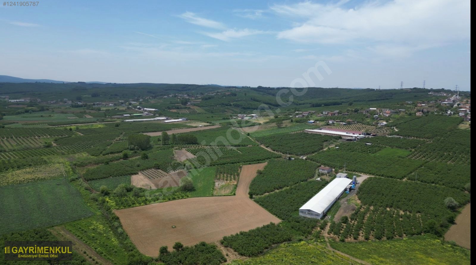 11.752 M² FIRSAT FINDIK BAHÇESİ SAKARYA KAYNARCA ZİAHMET MAH. - SAKARYA KAYNARCA fotoğraf 41