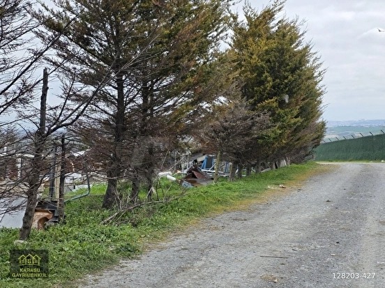 ARNAVUTKÖY DURSUNKÖY ENDÜLÜS CADDE CEPHELİ PARSELDE 230 M2 - İSTANBUL ARNAVUTKÖY fotoğraf 20