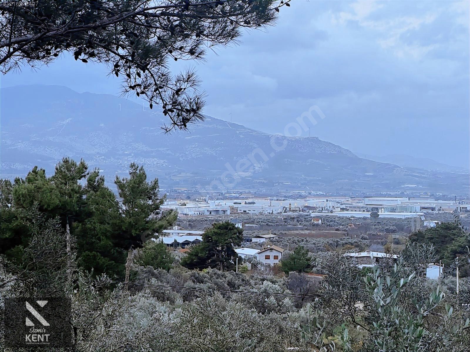 Kemalpaşa Armutlu Hürriyet Mah. Satılık 1.950 m2 Bahçe - İZMİR KEMALPAŞA fotoğraf 37