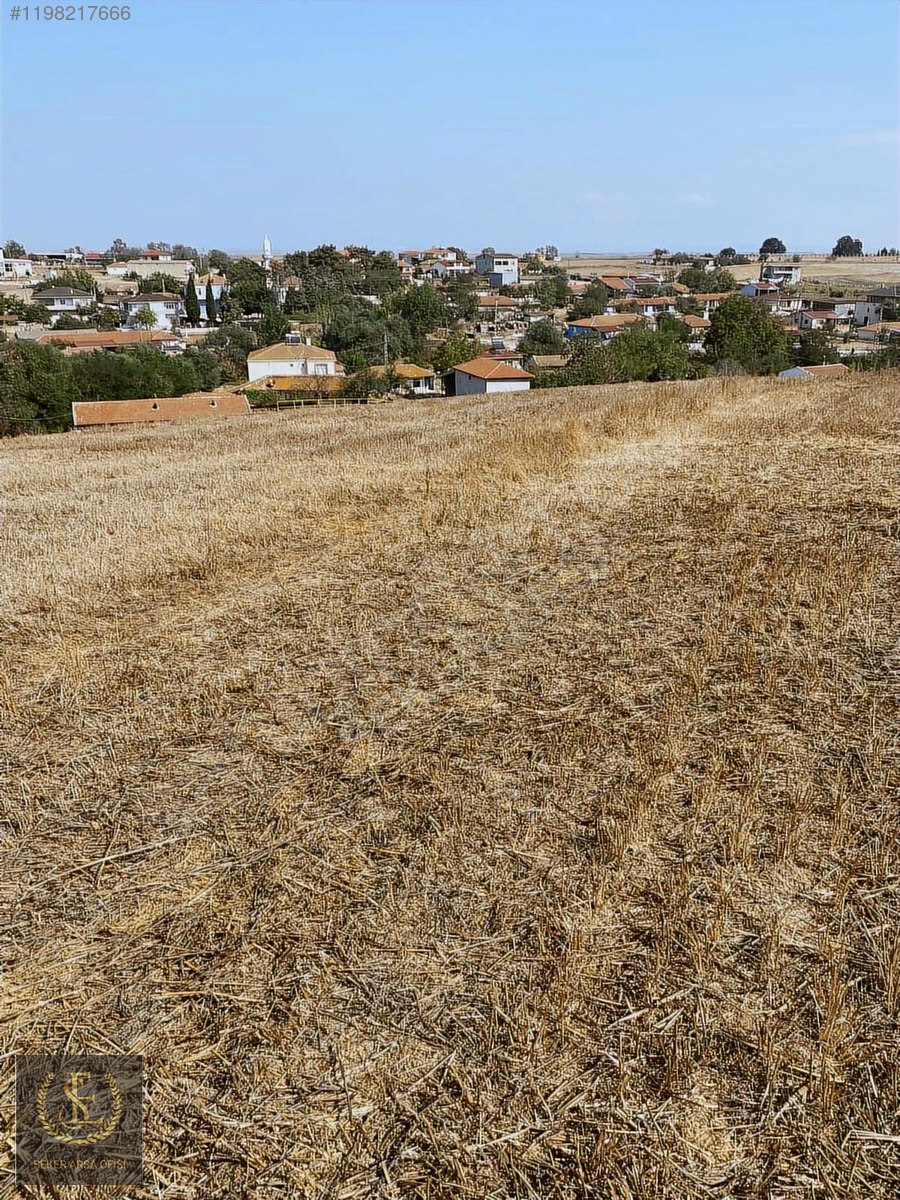 Tekirdağ saray yuvali 290m2 beton kaziklari çakılmiş düz zemin - TEKİRDAĞ SARAY fotoğraf 9