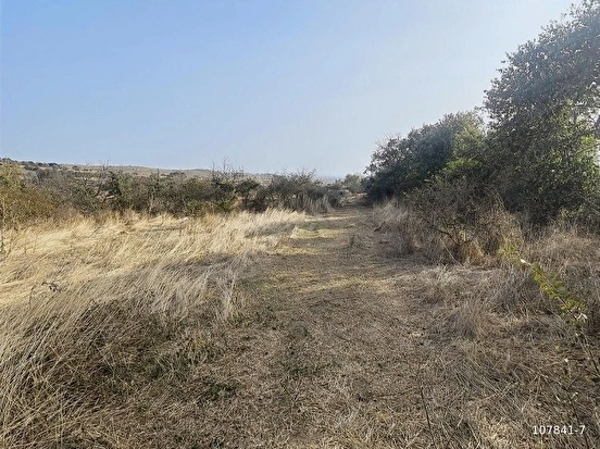 SÜLEYMANDANIŞMENT KÖYÜNDE 1326 M2 BAĞ TAPU YATIRIMLIK ARAZİ - EDİRNE LALAPAŞA fotoğraf 6