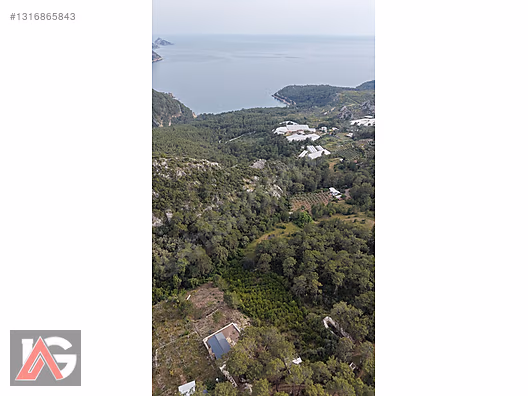 Doğanın İçinde, Deniz Gören, Elektrik ve Suyu Hazır Fırsat Arazi - ANTALYA KUMLUCA fotoğraf 17
