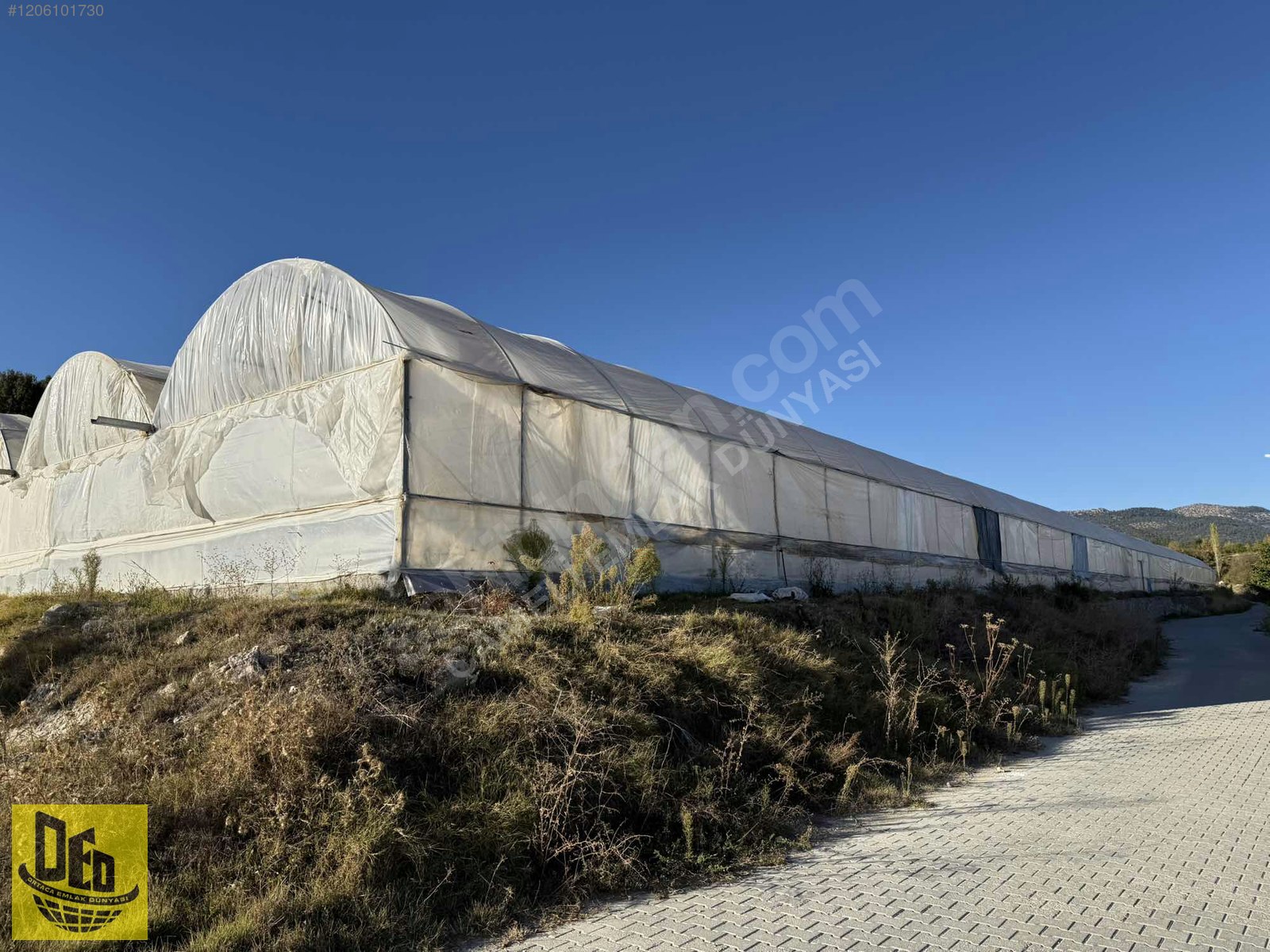 ÇAMELİ YUMRUTAŞ 5.472m2 TARLA İÇİNDE 4000m2 SERA TESİSİ - DENİZLİ ÇAMELİ fotoğraf 10