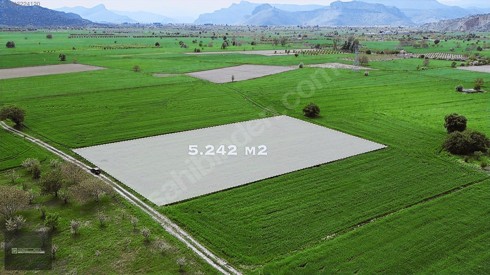 SATILIK BUCAK GÜNDOĞDU BELDESİNDE 5240 M2 TARLA - BURDUR BUCAK fotoğraf 3