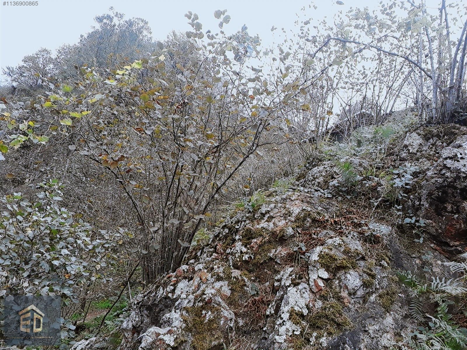 İlan Resmi