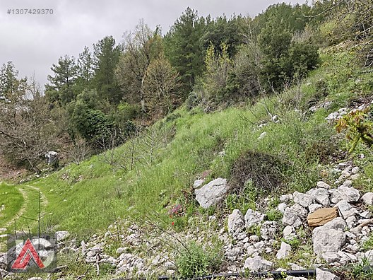 KARACAÖREN 877m2 yol cepheli - ANTALYA KUMLUCA fotoğraf 10