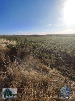ÇANAKKALE BİGA GERLENGEÇ KÖYÜNDE SATILIK TARLA - ÇANAKKALE BİGA fotoğraf 23