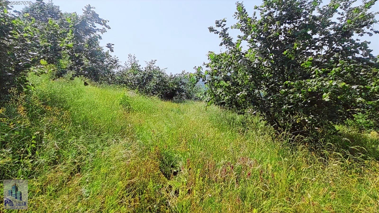 DÜZCE KAYNAŞLI BIÇKIYANI K TOPUK YAYLASINA 3 KM %50 İMARLI ARSA - DÜZCE KAYNAŞLI fotoğraf 7