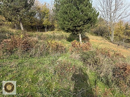 KESTEL LÜTFIYE MH SATILIK 1806M2 TARLA ASVALT YOLA CEPHE - BURSA KESTEL fotoğraf 33