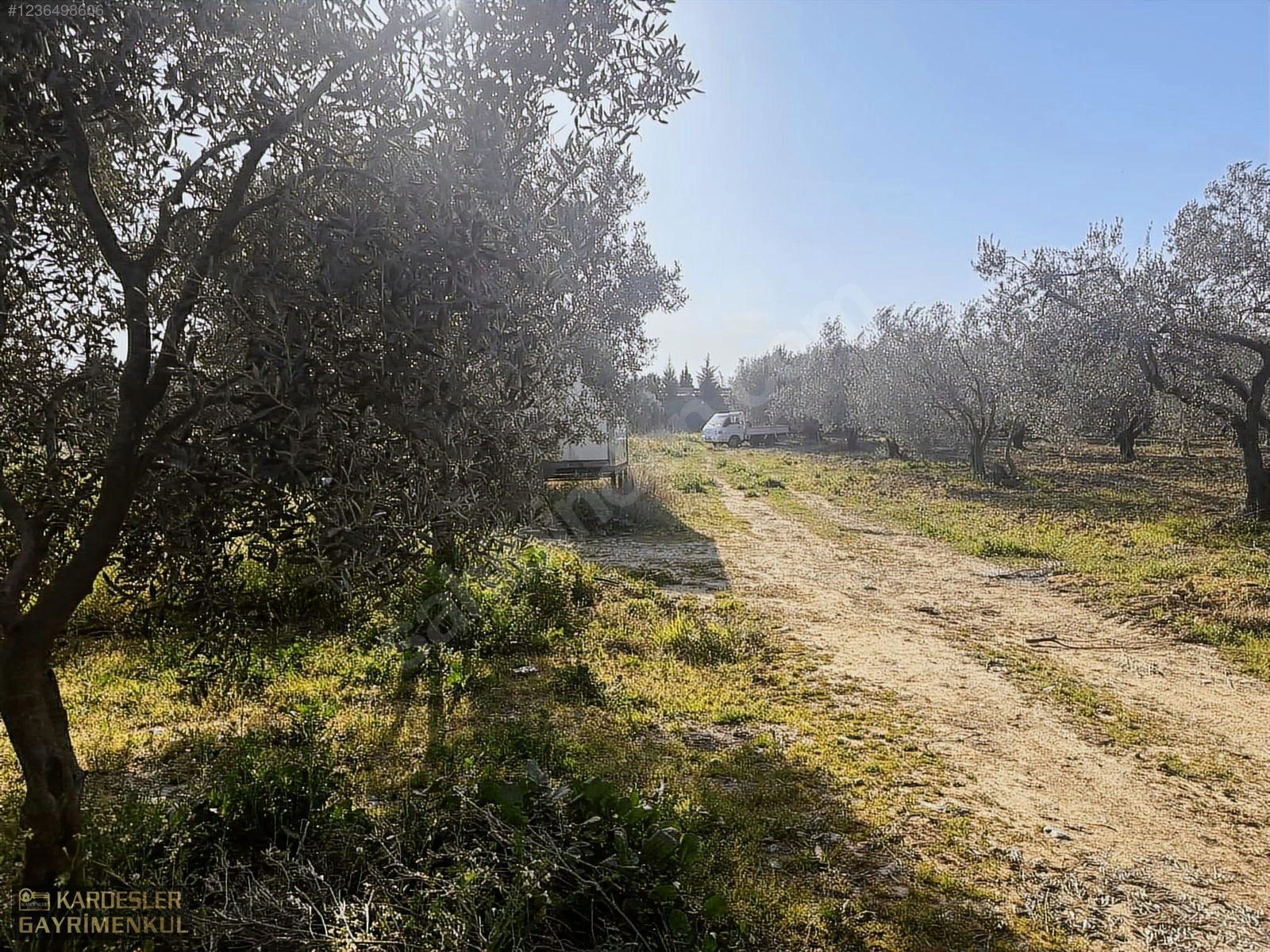 SATILIK GÖLMARMARA SALİHLİ YOLU ÜZERİNDE ASFALT ÜSTÜ ZEYTİNLİK - MANİSA AKHİSAR fotoğraf 14