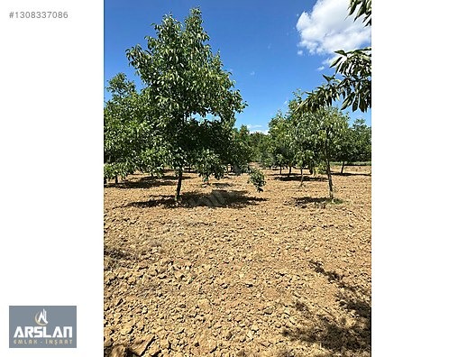 İNEGÖL ÇİTLİ'MAH 11,000m² SATILIK BAKIMLI CEVİZ BAHÇESİ - BURSA İNEGÖL fotoğraf 10