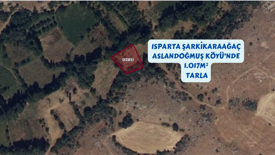 ISPARTA ŞARKİKARAAĞAÇ ASLANDOĞMUŞ KÖYÜ 1.017M² TARLA SATILIKTIR - ISPARTA ŞARKİKARAAĞAÇ fotoğraf 2