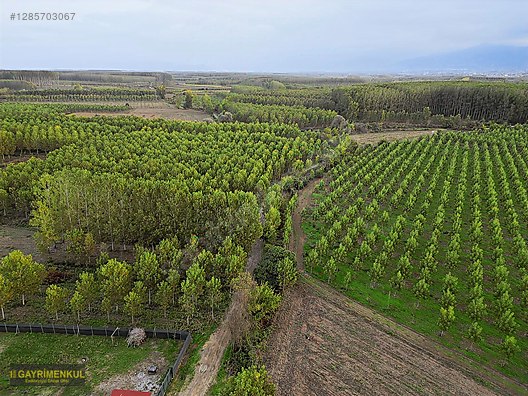 YATIRIM FIRSATI! ERENLER/ŞEYHKÖY MAH. 24.620 M² - SAKARYA ERENLER fotoğraf 26